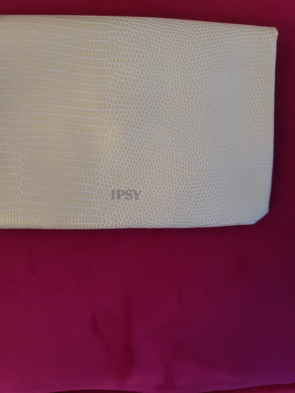 Brand New Ipsy Case